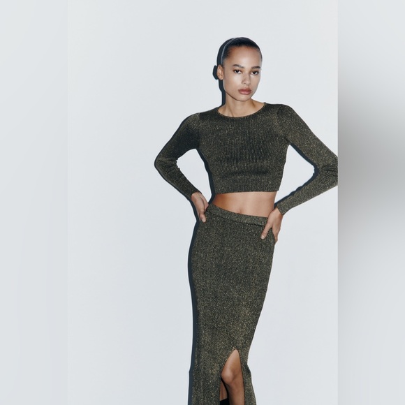 Zara - Metallic‎ Thread Knit Cropped Top - Picture 3 of 11